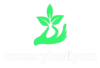 nursery kadiyam